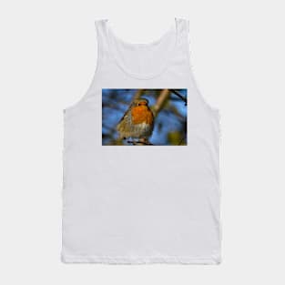 Robin in winter sunshine Tank Top